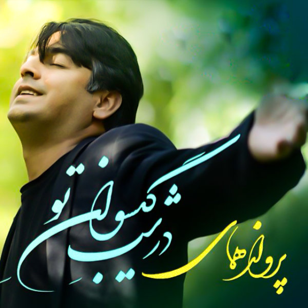 Dar Shabe Gisovaane To