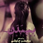 بی بدن