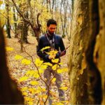 کاور آهنگ تو بمون تو بمون عشق من تو بمون از حامد محضرنیا