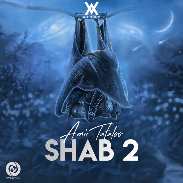 شب ۲