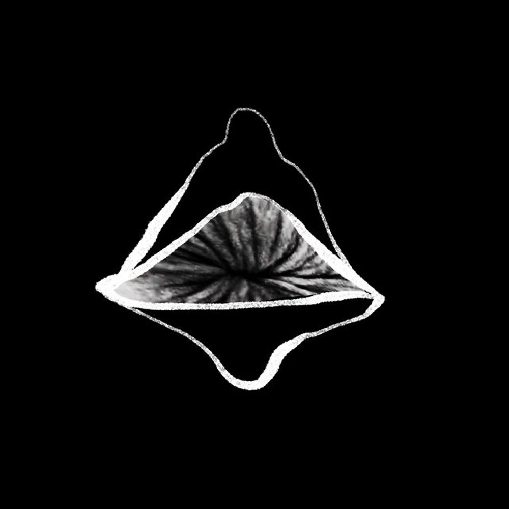 Zer Zera (live in Brooklyn)