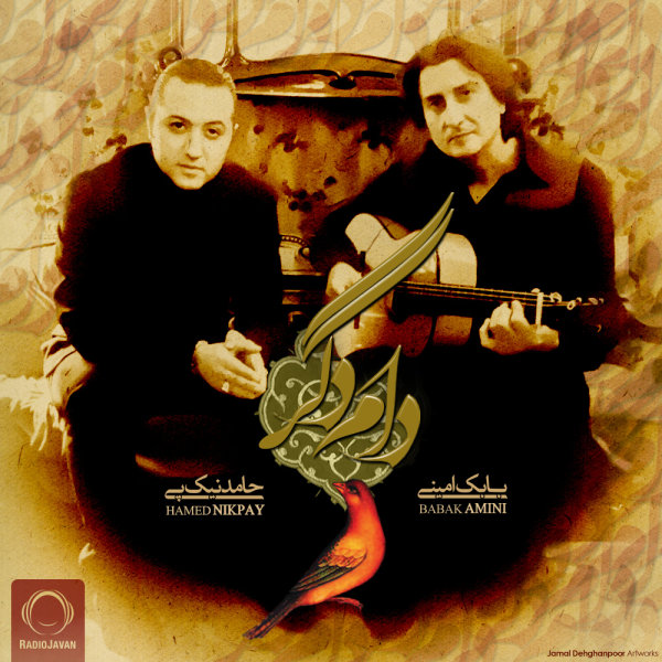 دام دگر