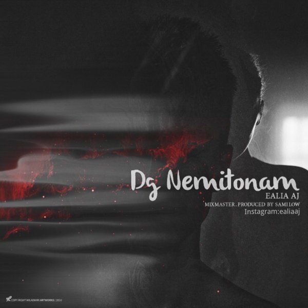 Dg Nemitonam