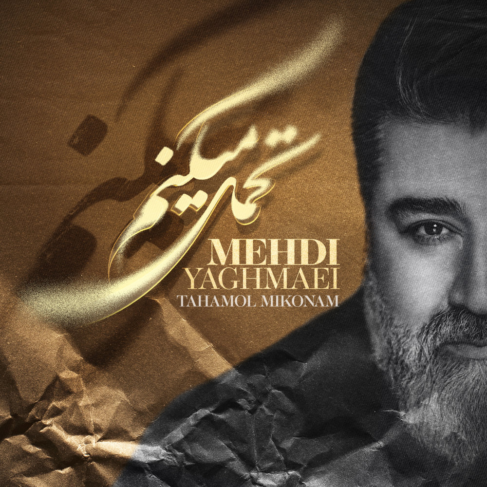 تحمل میکنم