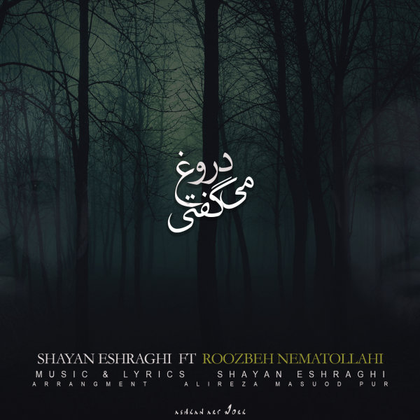 دروغ میگفتی روزبه نعمت اللهی