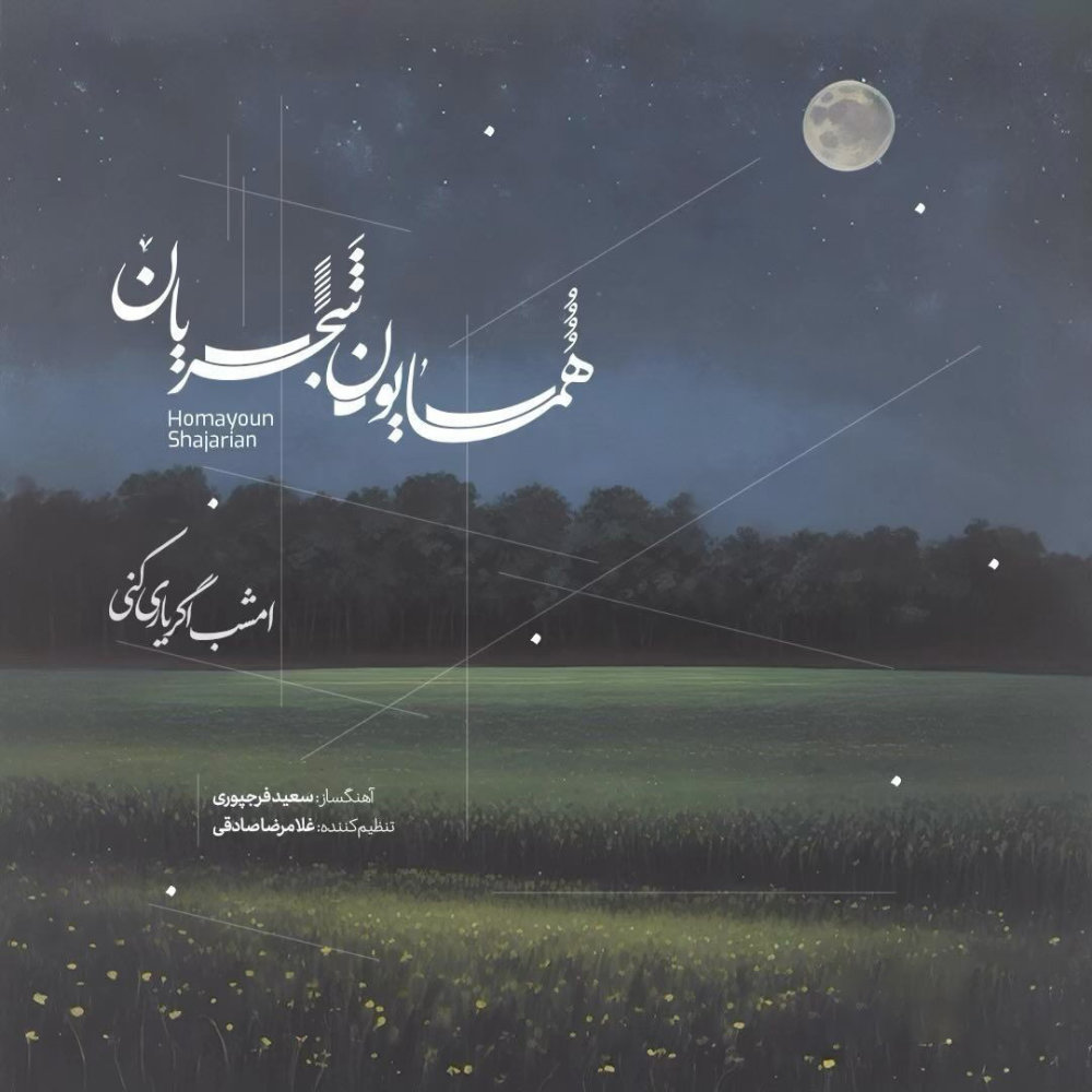 امشب اگر یاری کنی